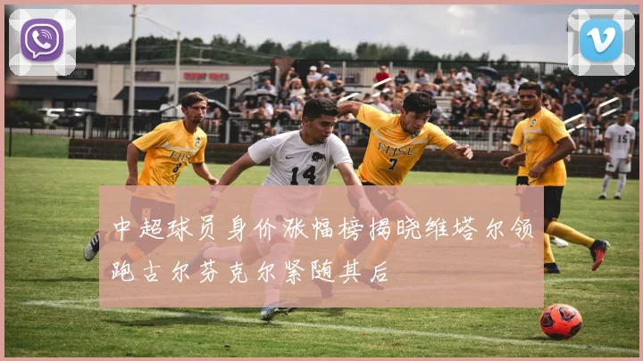 中超球员身价涨幅榜揭晓维塔尔领跑古尔芬克尔紧随其后