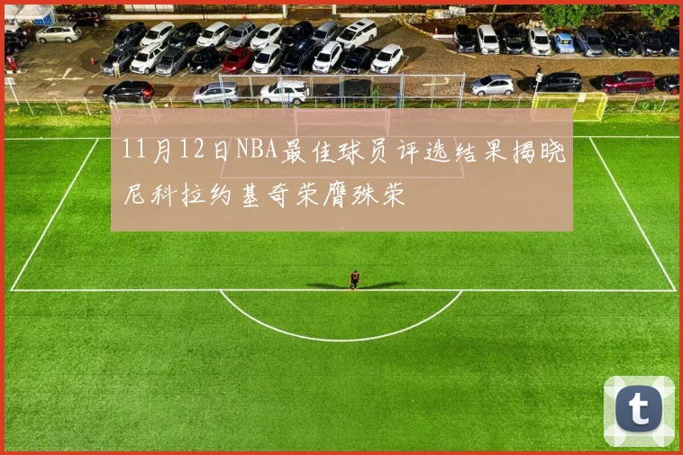 11月12日NBA最佳球员评选结果揭晓尼科拉约基奇荣膺殊荣