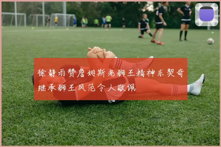 徐静雨赞詹姆斯老狮王精神东契奇继承狮王风范令人敬佩