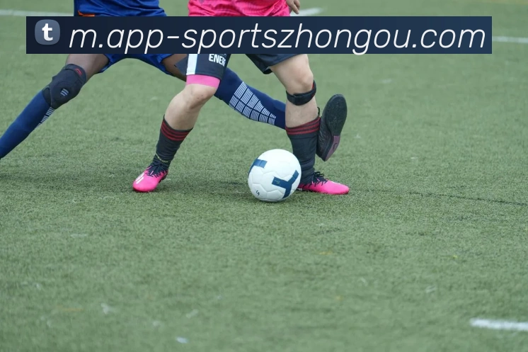 中欧体育平台生态图